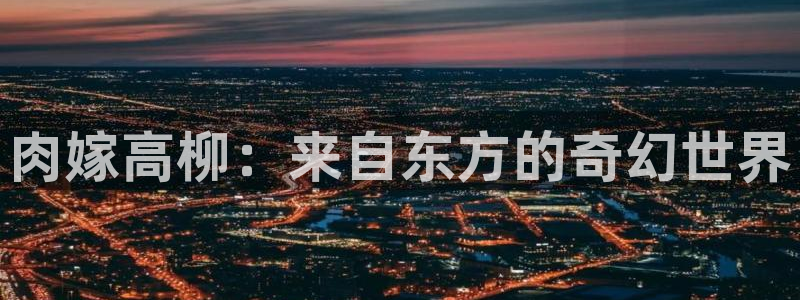 动漫岛网站：肉嫁高柳：来自东方的奇幻世界